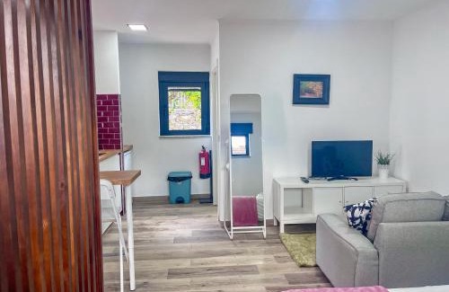Peso da Regua Apartamento | Imperial Douro Apartamento 7