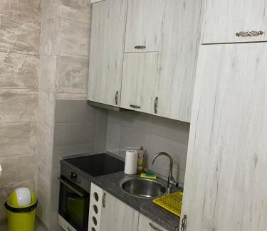 Niksic Apartamento | Impressive Apartment