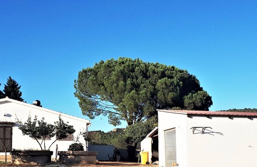 Siniscola Casa | Independent house Berchida East Coast Sardinia