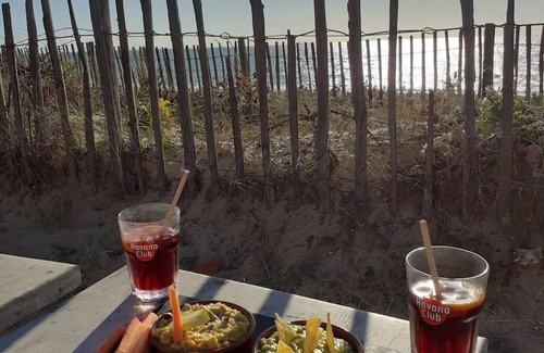 Ondres Apartamento | Independent studio in a quiet villa 2.5km from the beach + 2 bikes on loan.