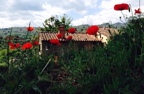 Massa e Cozzile Casa | B&B / Apartamentos para vacaciones cerca de Montecatini Terme