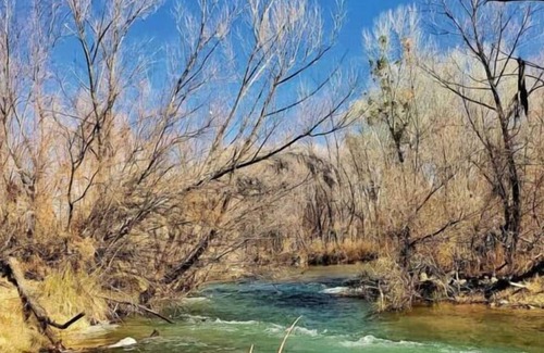 Camp Verde Casa | Indulge in Home Like Comfort! Pool, Pets Allowed Near Ernest A Love Field