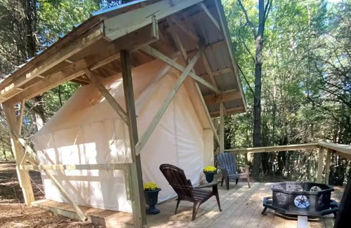 Otego Cabina | Indulge in our Forest Retreat