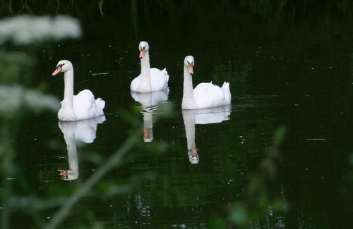 Saint-Paer Casa | Casa rural Saint-Paër, 4 dormitorios, 8 personas