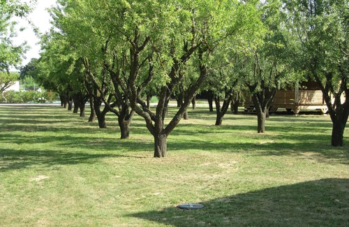Bourdic Cabaña | INSOLITE BOIS & VERDURE / Private swimming pool and tennis court / NEAR UZES - SAMANE