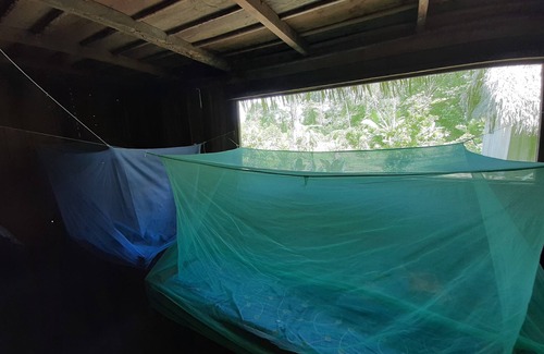 Belén Cabina | Inti Amazon Lodge - Lupuna Zona 2