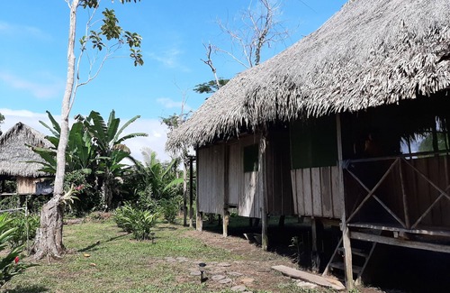 Belén Cabina | Inti Amazon Lodge - Lupuna Zona 2