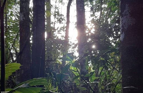 Belén Cabina | Inti Amazon Lodge - Lupuna Zona 2