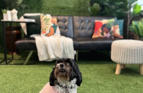 Chosewood Park Apartamento | Intimate Group Dinner & Photoshoot Green Space