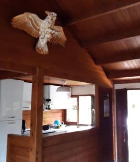 Marcouray Apartamento | Into the woods
