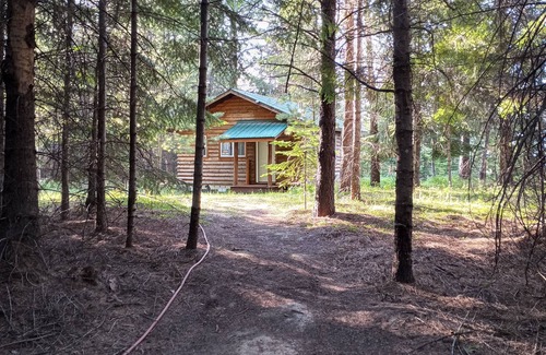 Troy Cabina | Into the Woods Cabin - Rare, Remote, Relaxing.