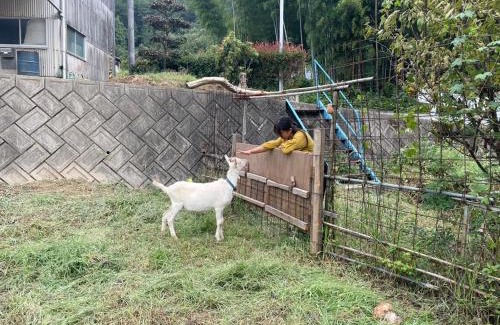 Saijo Villa | ISHIZUCHI Villa HANA