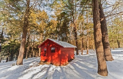 Milford Cabina | Knotty Pine Charming Cabin con chimenea de piedra en 575 Acre Preserve