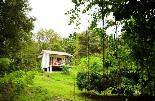 Las Uvas Casa | Istmo Beach and Jungle Bungalows