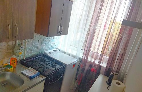 Siauliai City Center Apartamento | Itaja apartment 49