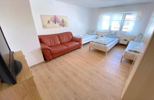 Oberteisbach Apartamento | IV Apartment 12 Personen - Monteurzimmer - Ferienwohnung - Kronwieden