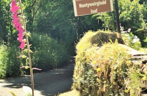 Llanfyrnach Cabaña | Ivy Cottage