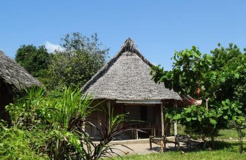 Chuini Cama Y Desayuno | Jabar Lodge