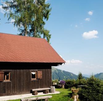 Spital am Pyhrn Casa | Jagdhütte Gammeringalm