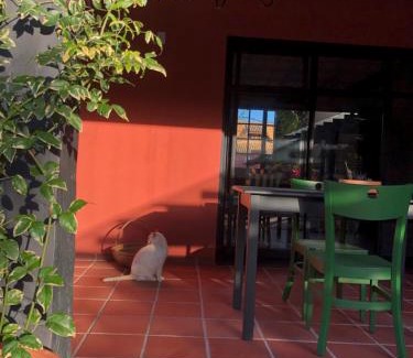 Lagoa da Conceicao Cama Y Desayuno | Janela de Marcia Bed and Breakfast