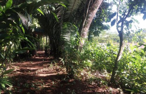 Puerto Maldonado Apartamento | JARDIN DE LAS MUSAS