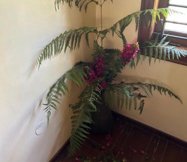 Madikeri Chalet De Esquí | Java Hills