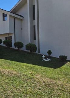 Bajina Basta Casa | Javor