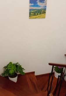 Santa Cruz Casa | Jazmines
