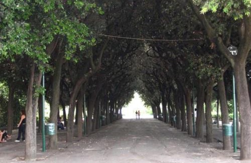 Conversano Cama Y Desayuno | JENNY HOUSE
