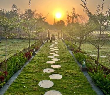 Tala Casa | Jewel Stay PURE VEG