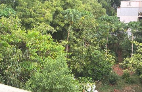 Madurai Casa | Jeyaraj's Home