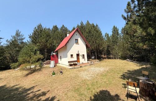 Blidinje Nature Park Chalet De Esquí | Jozin put -planinska kuća