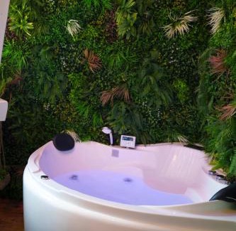 Epernay Apartamento | Jungle Évasion, Épernay - Jacuzzi & Sauna