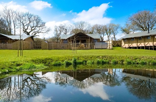 Tenby Alquiler De RV | Jungle Book Safari Tent