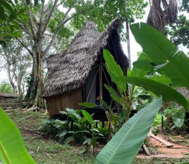 Puerto Narino Otro | Jungle Cabin - Satori Natural