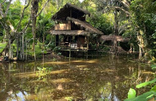Puerto Narino Otro | Jungle Cabin - Satori Natural