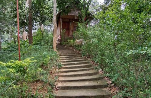 Sreemangal Upazila Cabina | Jungle cottage