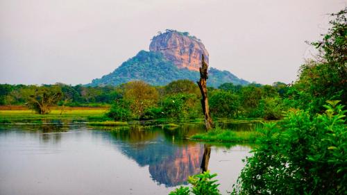 Sigiriya Cabina | Jungle Edge Home Sigiriya
