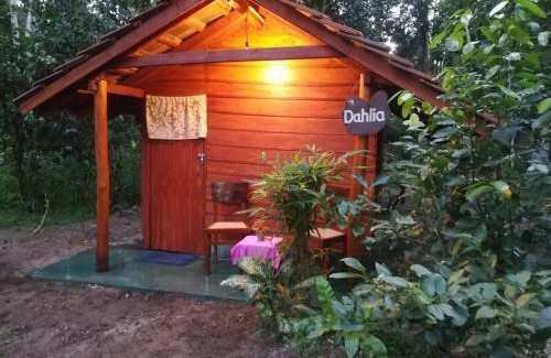 Boossa Otro | Jungle Paradise