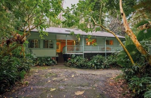 Kailua-Kona Casa | Jungle Retreat in Kona Cloud Forest Sanctuary, An unforgettable Cloud Forest Sanctuary retreat exper
