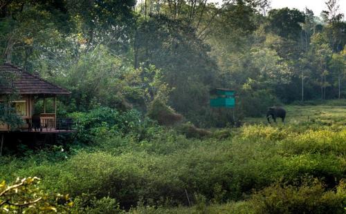 Kaimane Cabina | Jungle Retreat Wayanad