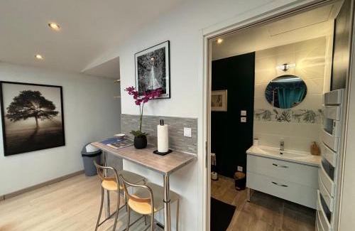 Henriville Apartamento | Jungle Studio - 2P à 4P -Henriville