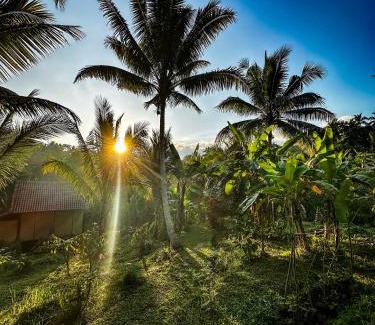 East Selemadeg Chalet De Esquí | JungleHavenBali - Private Nature Stay