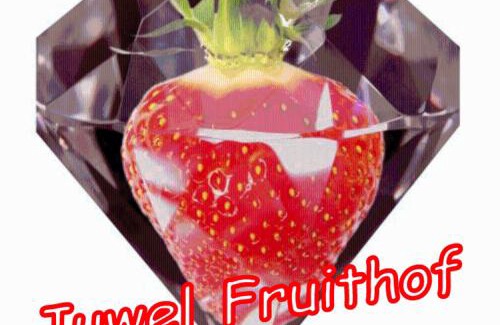 Zepperen Apartamento | Juwel Fruithof