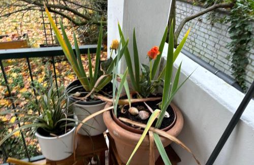 Nippes Apartamento | Köln Wohnung 4 min nähe von Hbf und Dom mit Garten ,Balkon & office