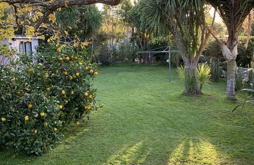 Point Wells Casa | Kōtare- - Classic Point Wells
