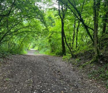 Ammanford Chalet De Esquí | Kabin in the woods with Hot Tub