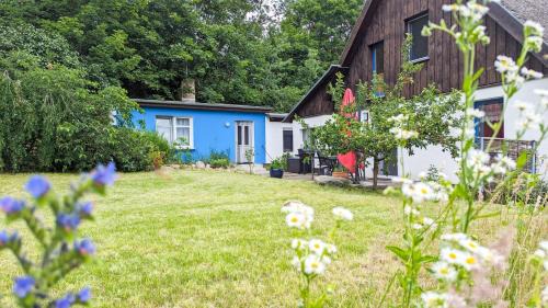 Kamminke Casa | Kamminke - Reetdachhaus