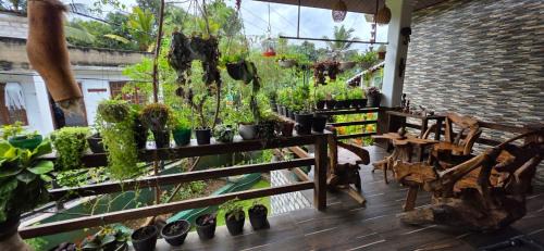 Katugastota Casa | Kandy Comforts