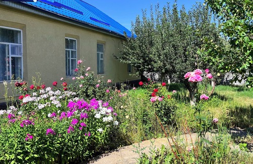 Karakol Casa | Karagat Karakol Suites!